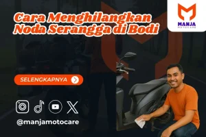 Cara Menghilangkan Noda Serangga di Bodi