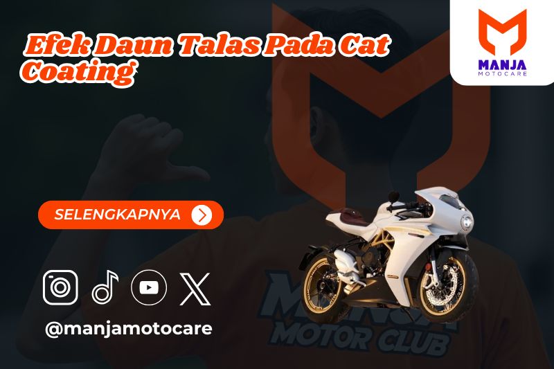 efek daun talas pada cat coating