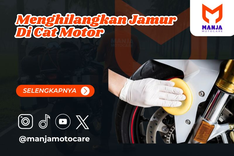 menghilangkan jamur di cat motor